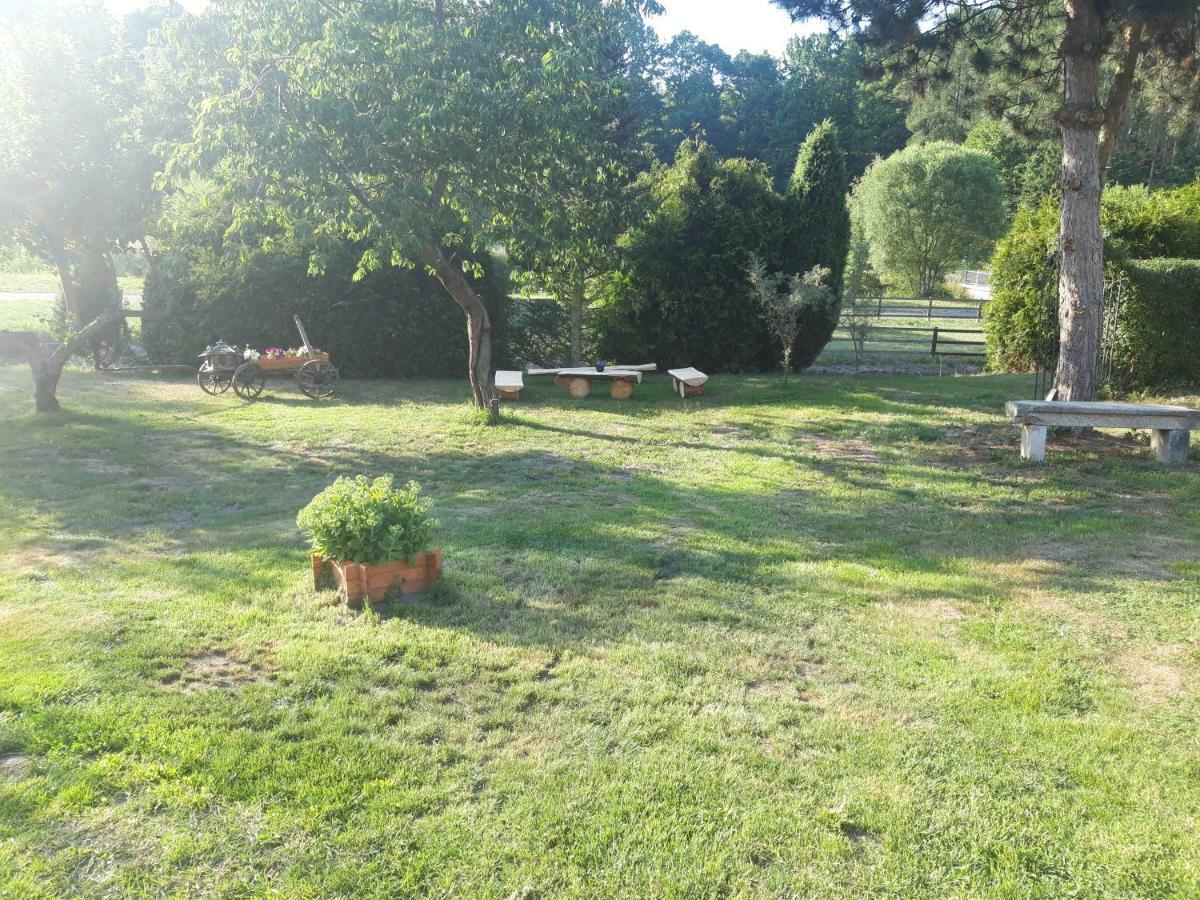 Na Cervene Louce Relax 1 Villa Cheb Exterior photo